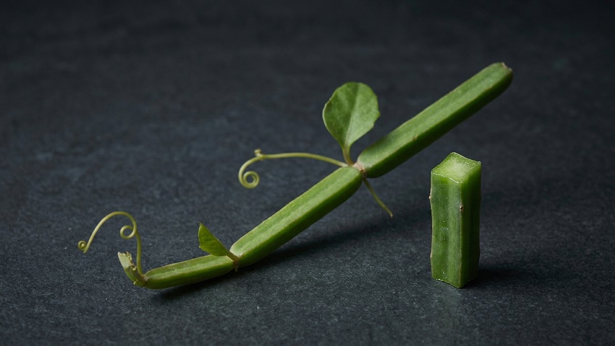 Close-up of a jointed, angular Cissus stem with a leaf and tendrils, next to an upright stem segment with a square cross-section