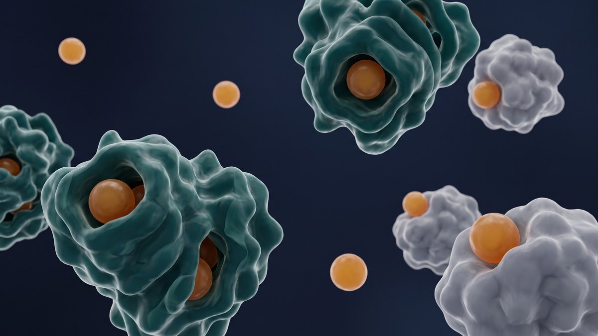 Conceptual 3D view on a dark blue background: orange hormone particles, most deeply embedded in petrol-coloured protein shapes, some resting loosely on grey protein shapes and a few floating freely